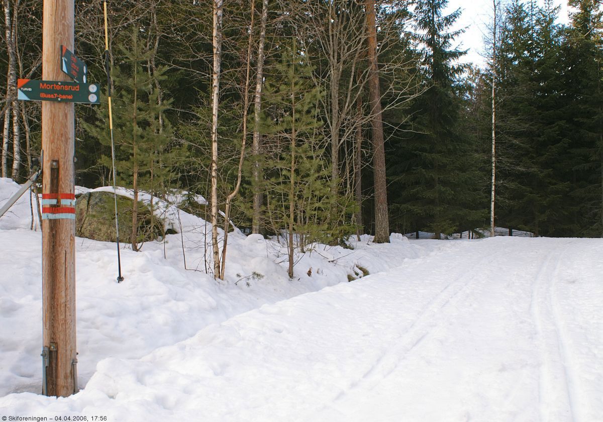 Lysløypen i Dalsåsen