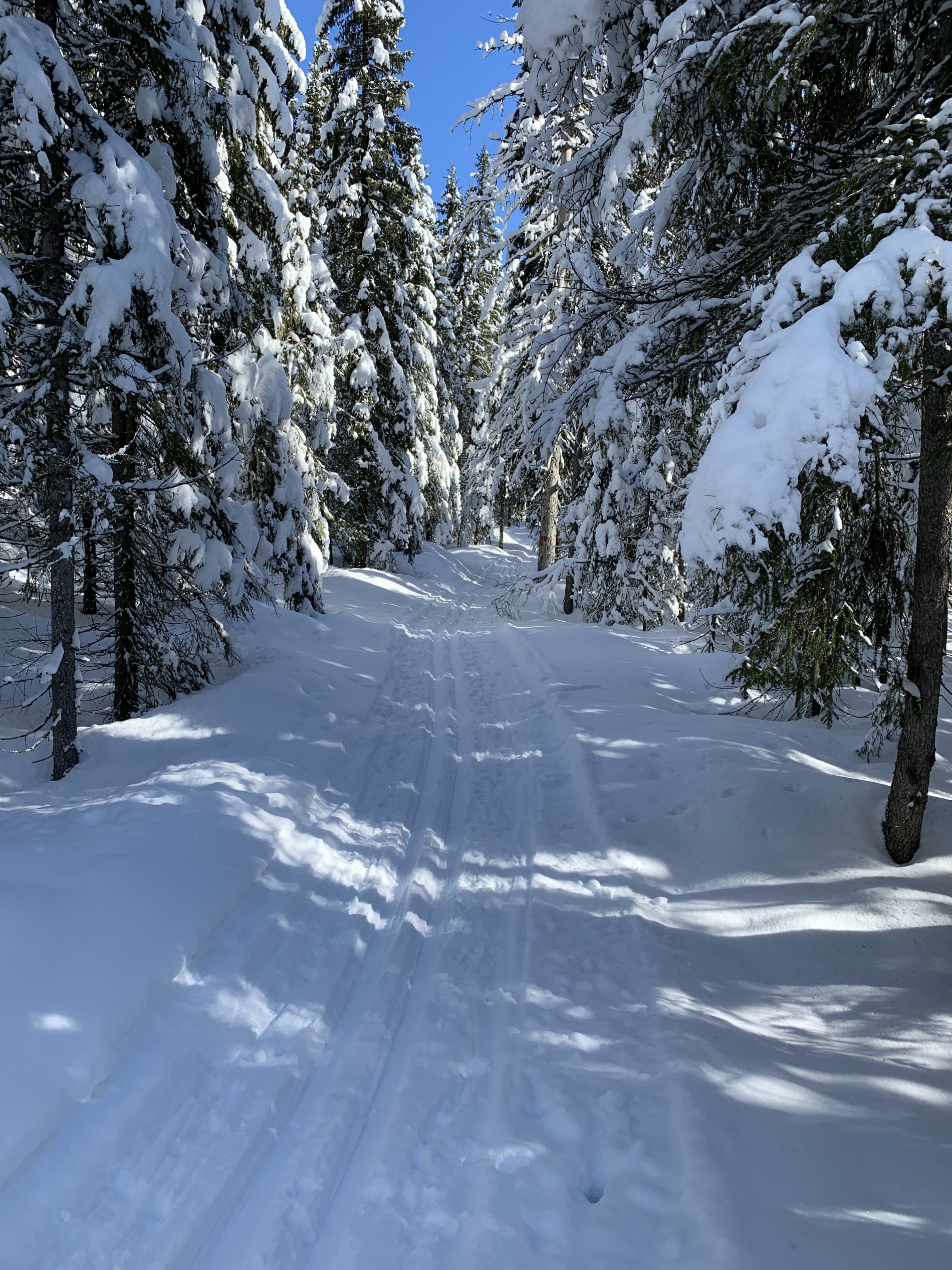 Magiske scooterløyper