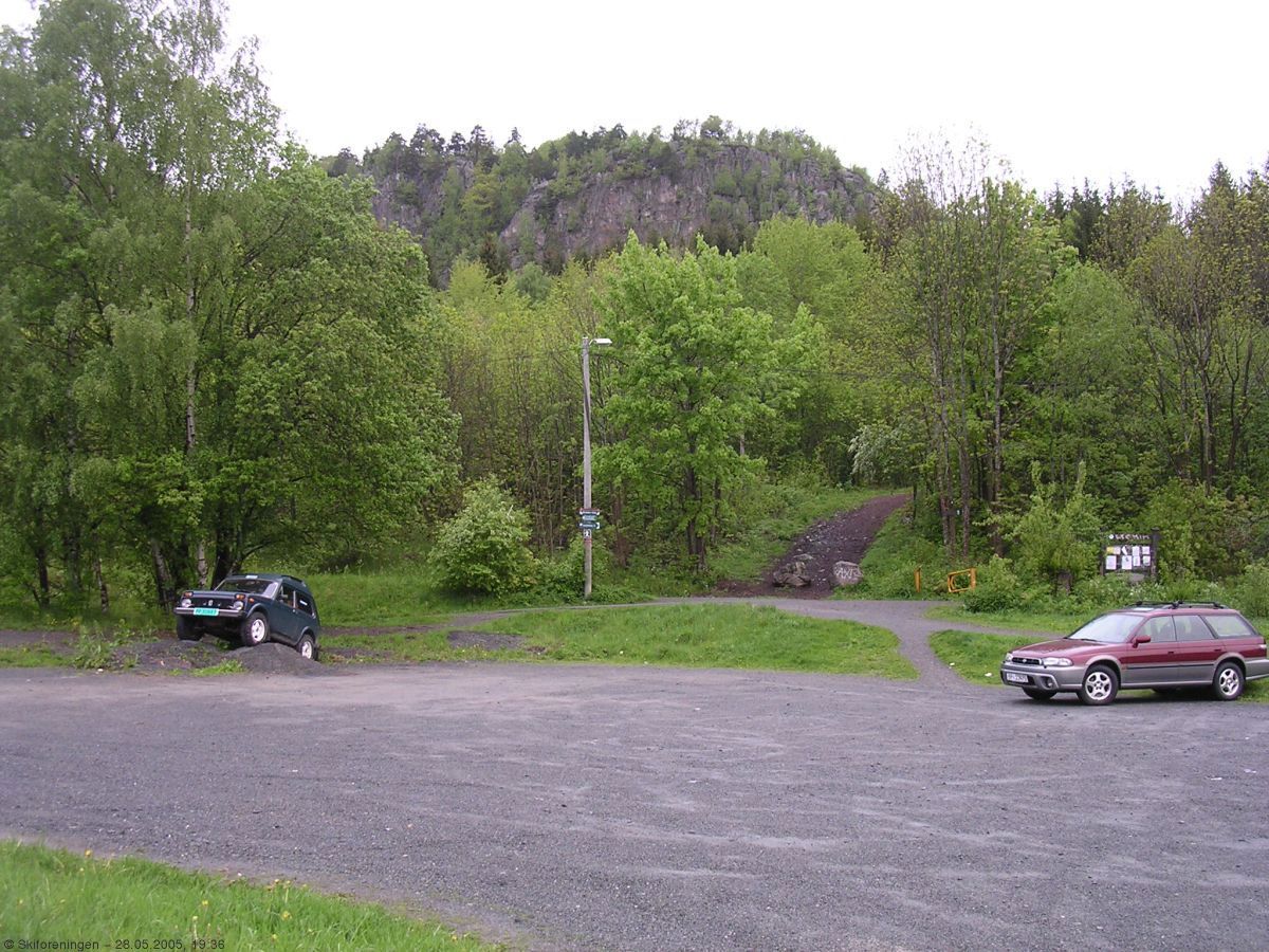 Maikveld ved Rykkinn