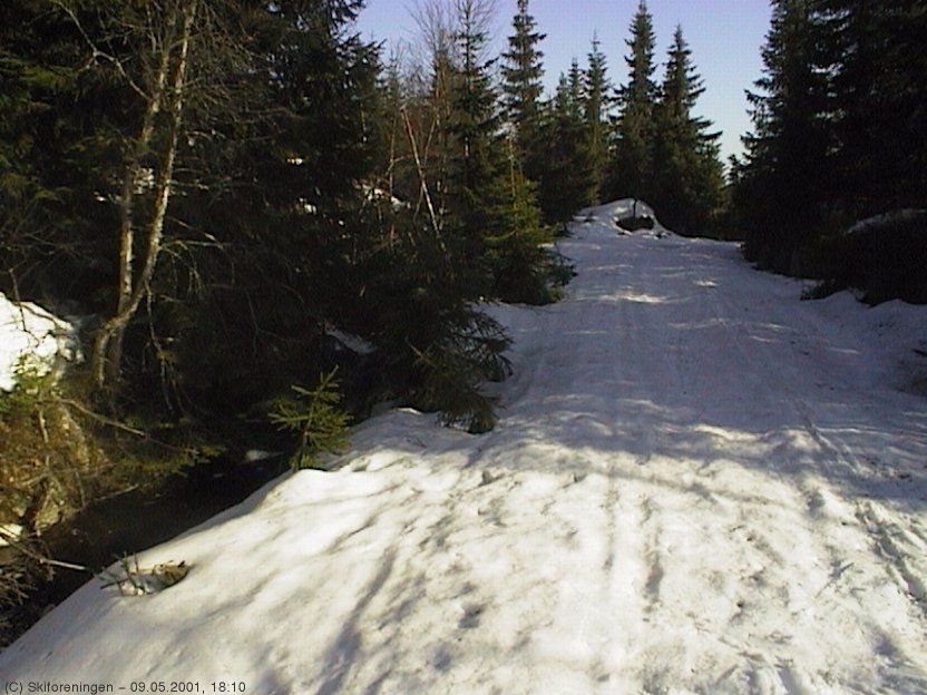 Maiskitur: Hvem skulle trodd