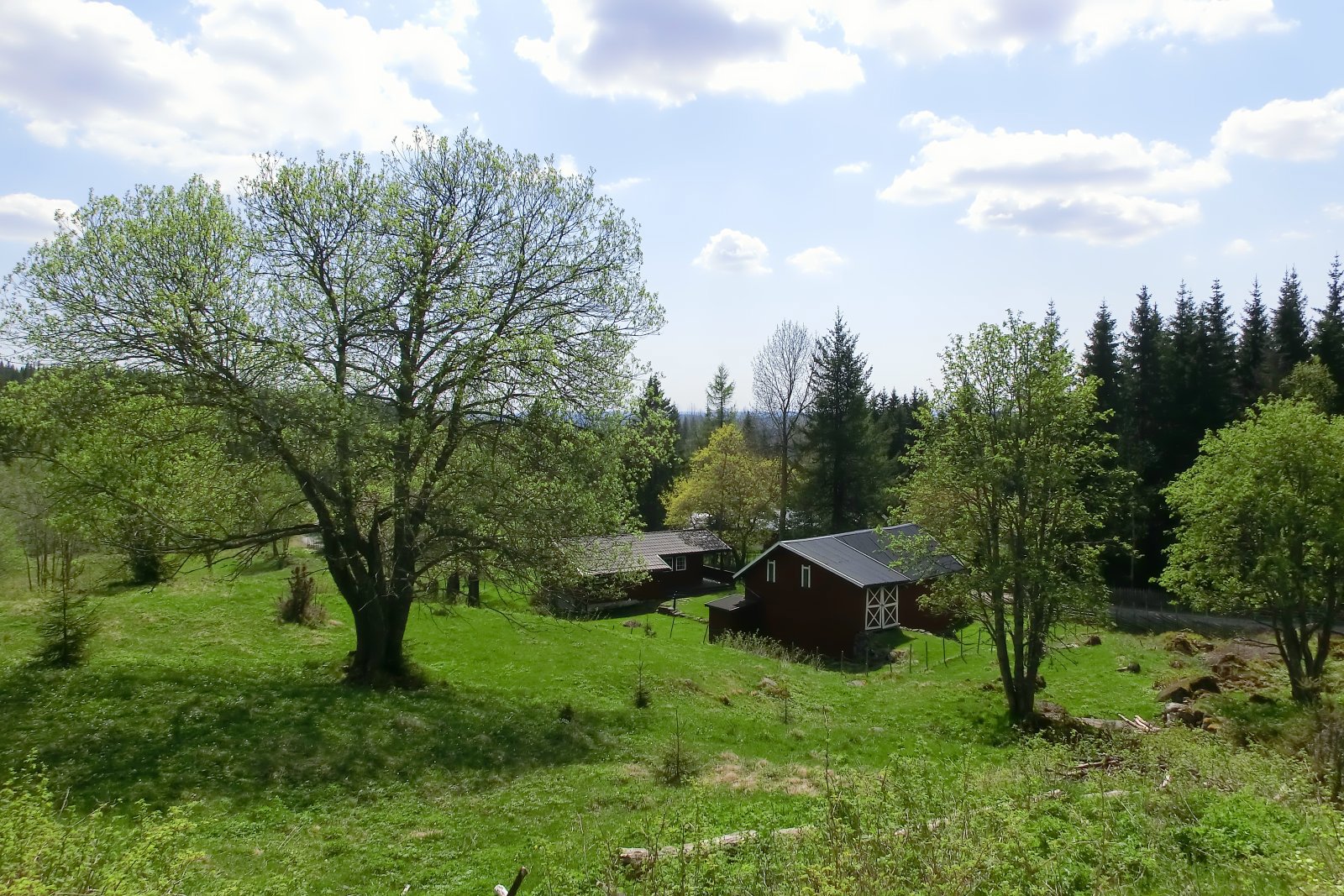 Maistemning på Bruløkka