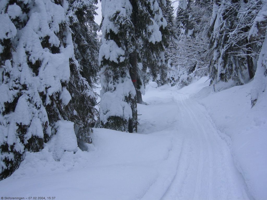 Målvikdalen - ikke akkurat Markas mest brukte skiløype