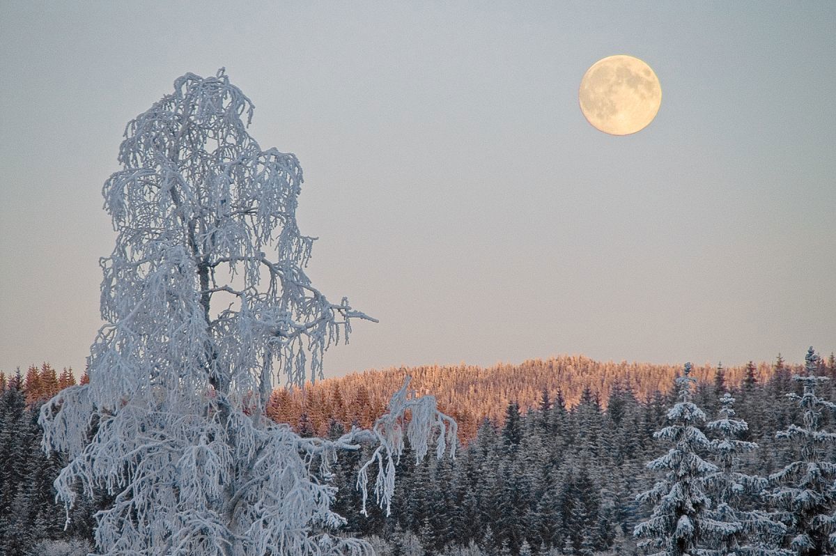 Månen var så vakker i kveld