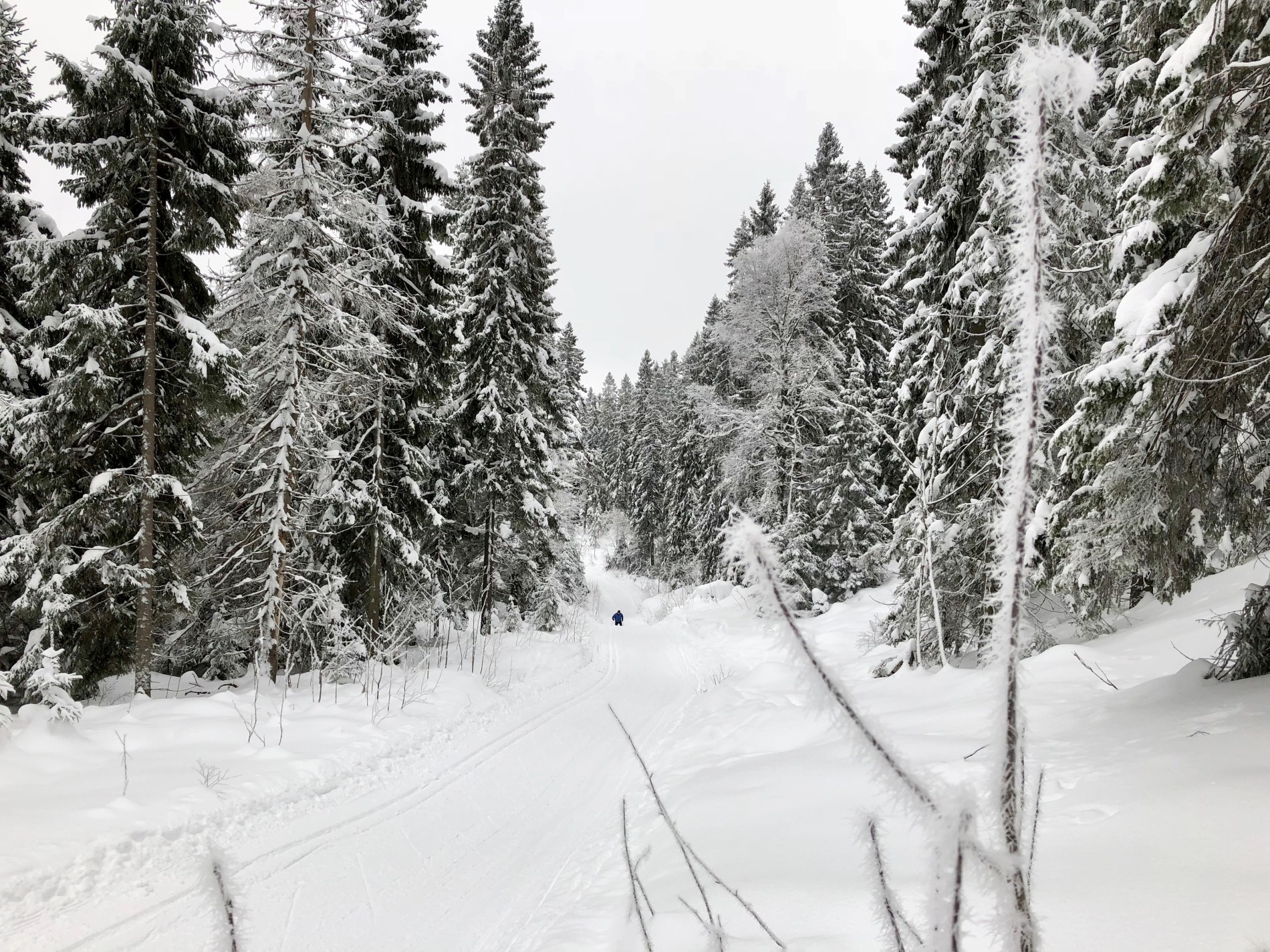 Måneskinnsløypa mens det fremdeles er kaldt