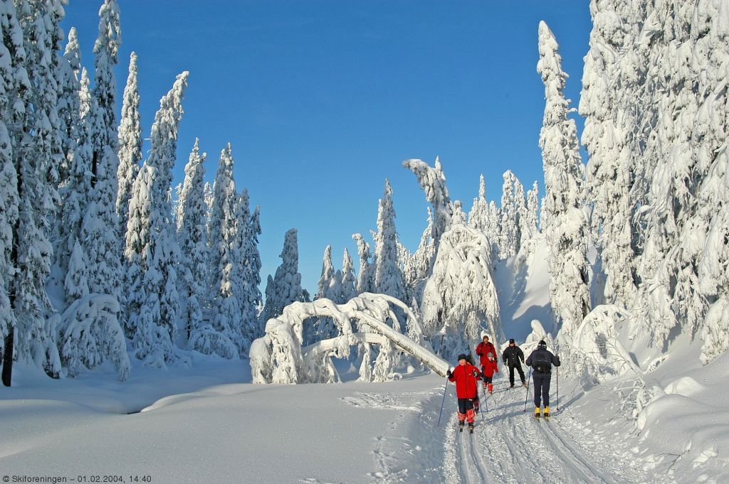 Mange folk i løypene rundt Sinober