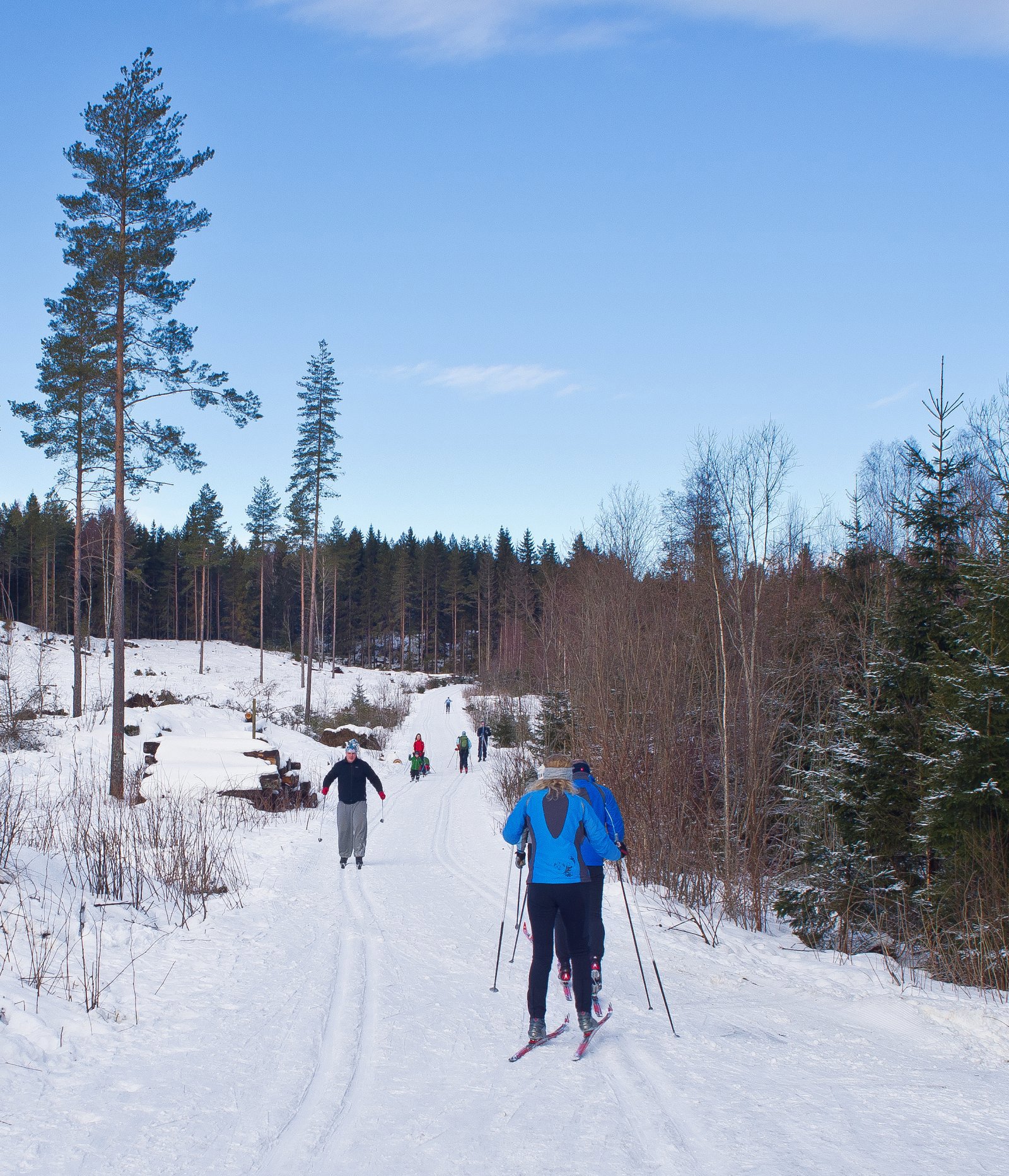 Mange på ski fra Østernvannsvingen i dag
