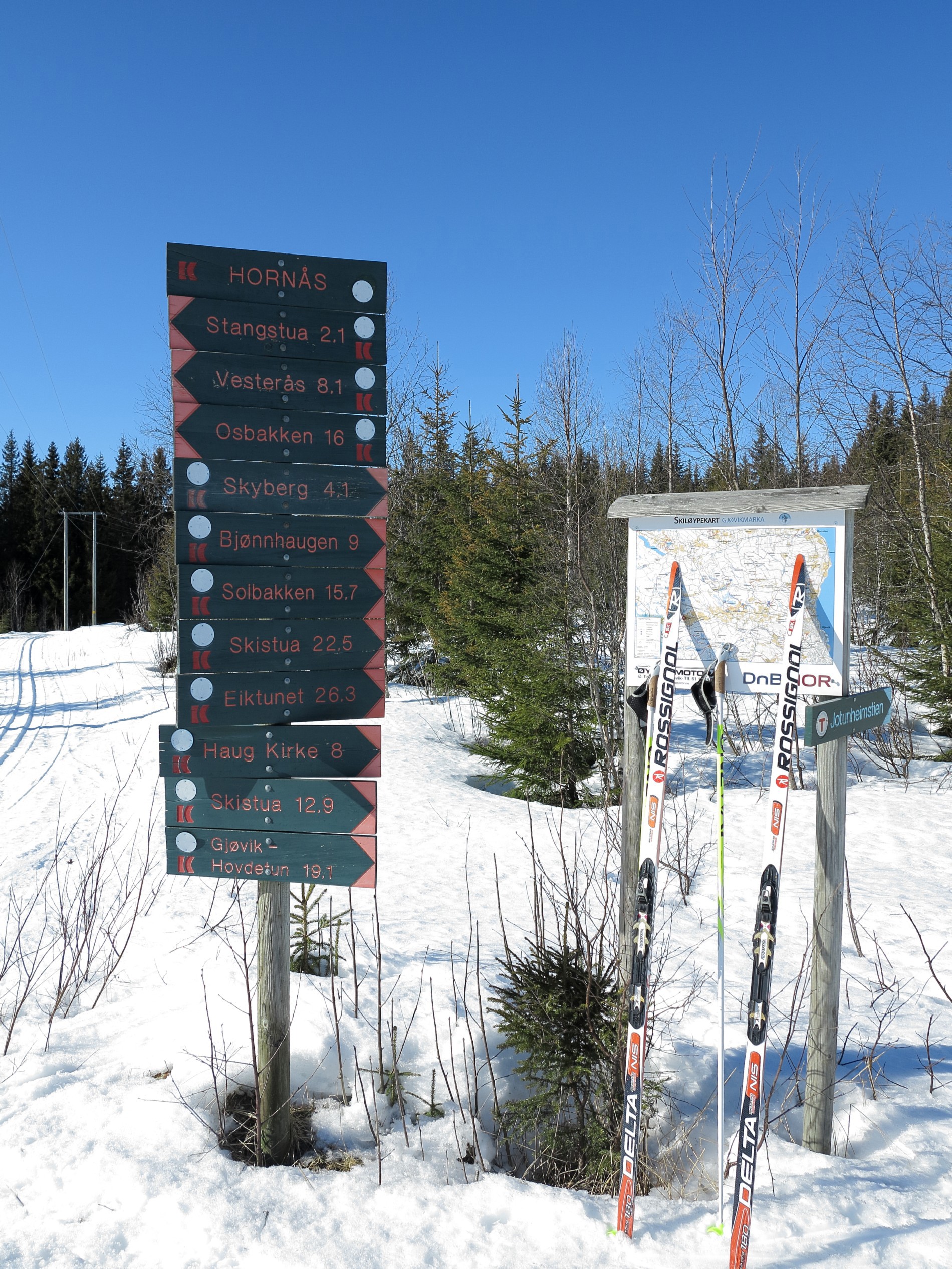 Mange valgmuligheter ved Hornås