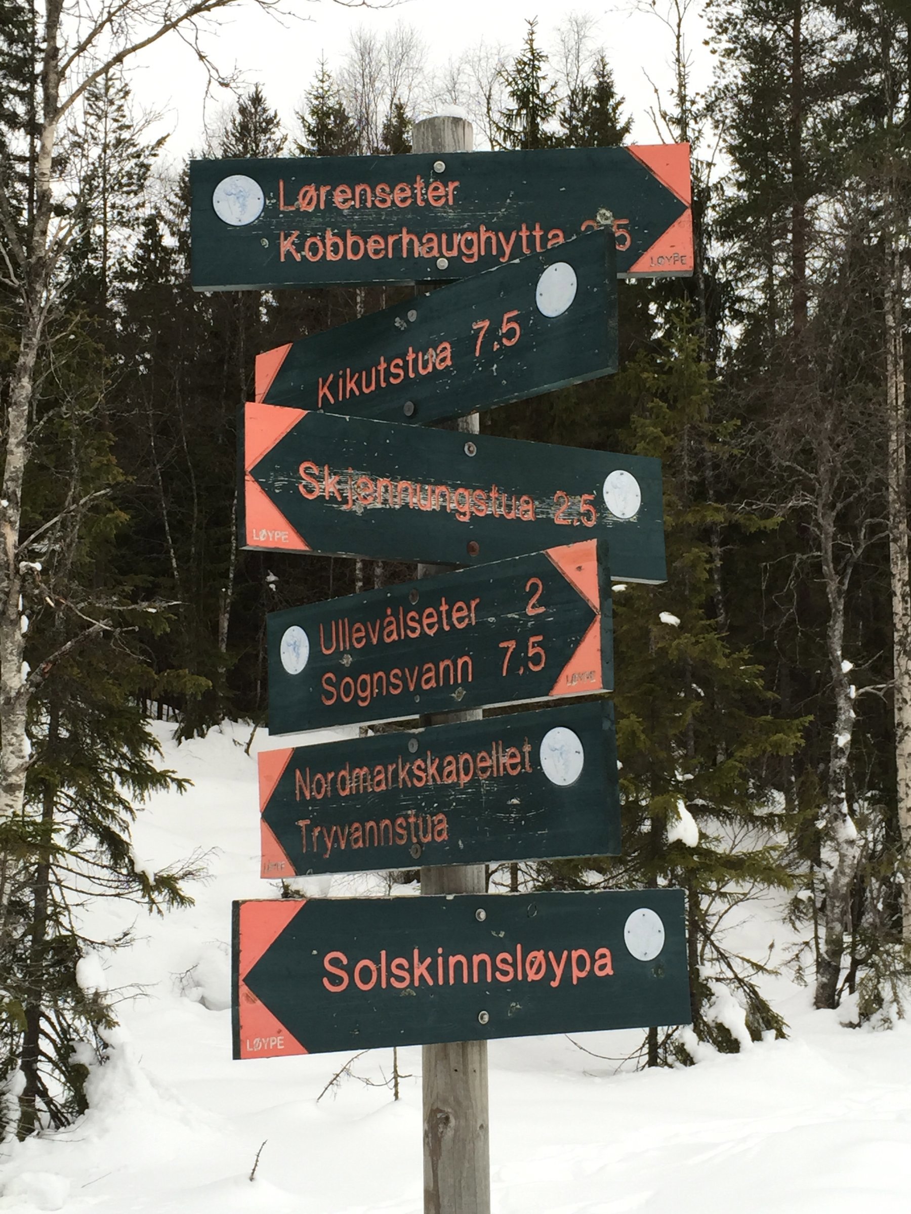 Mange valgmuligheter ved Vestre Aurtjern