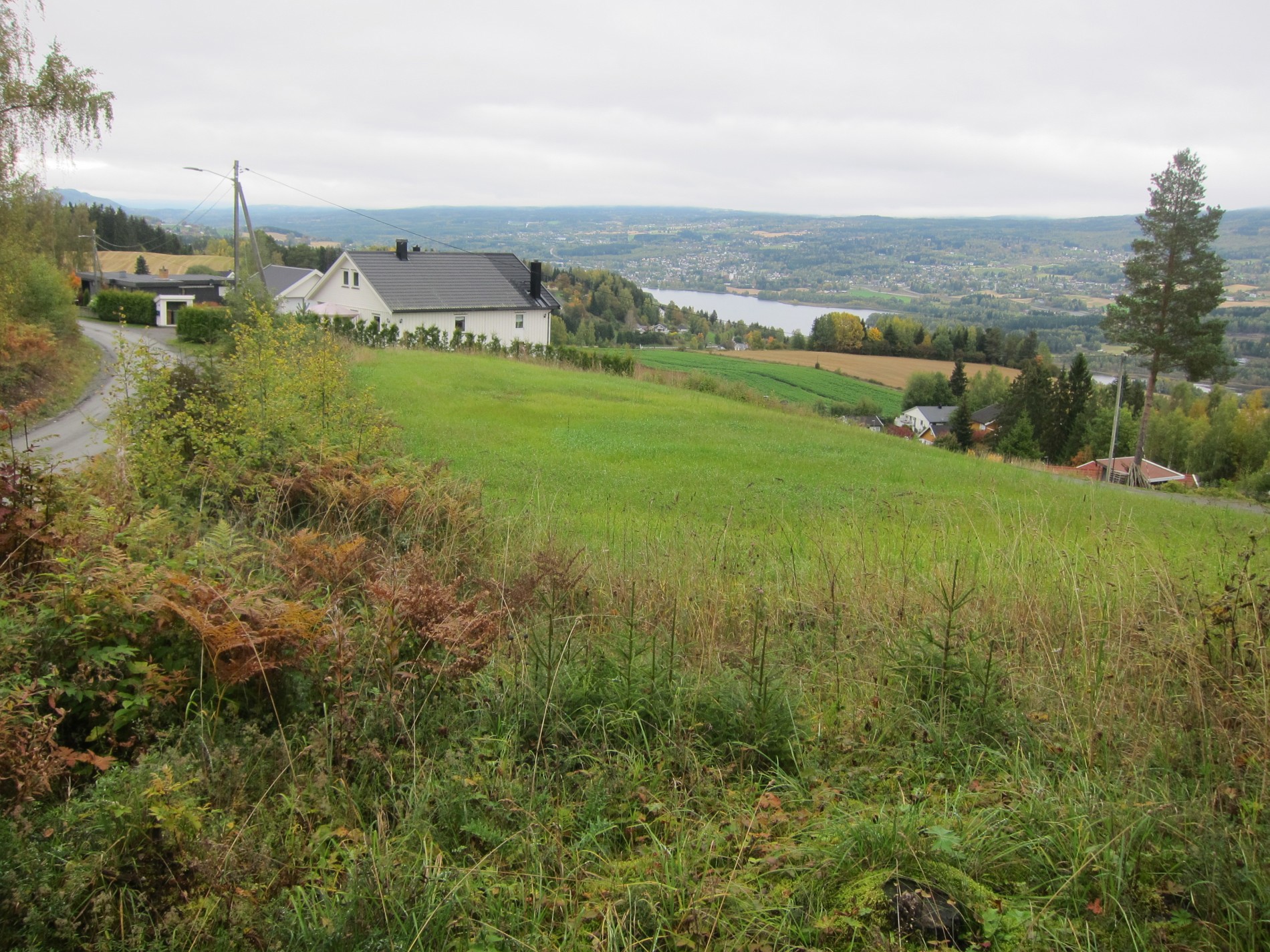 Med utsikt mot Viggadalen