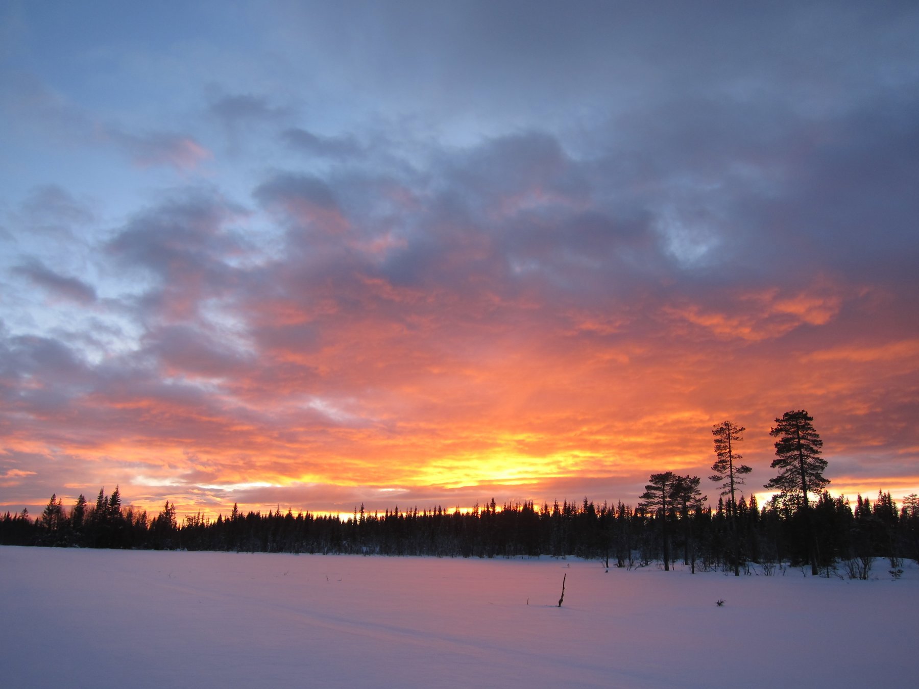 Mektig solnedgang på åsen