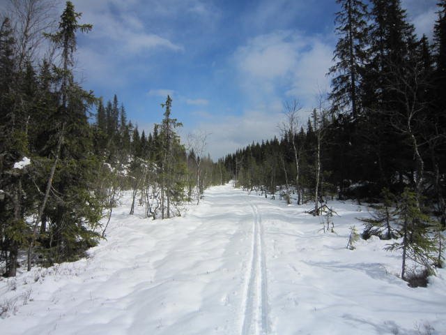 Mellom Bjønnputten og Mosjøen