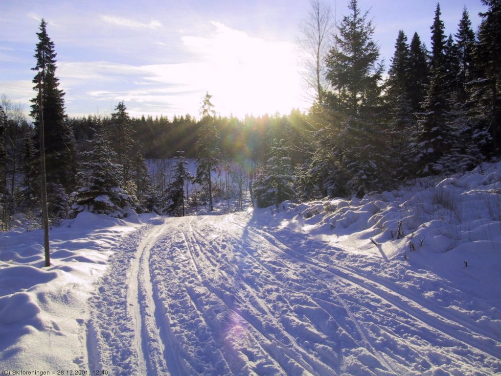 Mellom Blankvannsbråtan og Kobberhaughytta