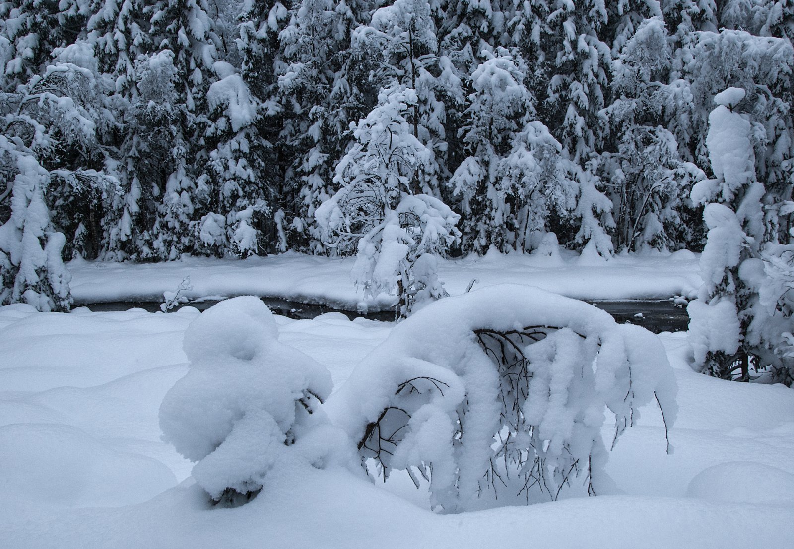 Mellom Elsjøane og Råsjøen