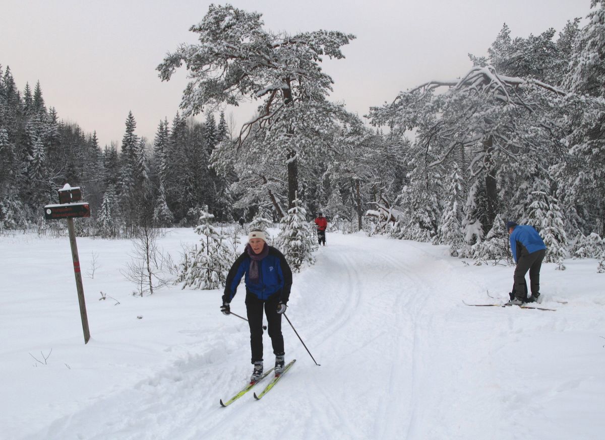 Mellom Triungsvann og Hvitsteinvann