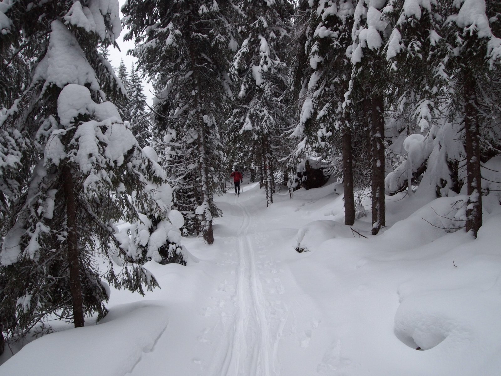 Mellom Ugla og Mosjøen