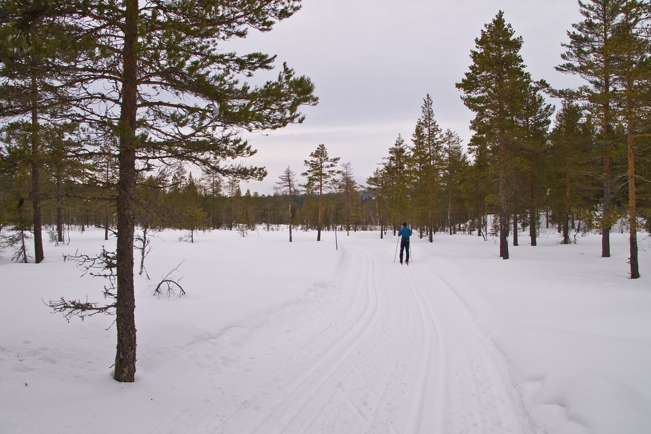 Mildvær, men likevel skiføre på Torvmyra