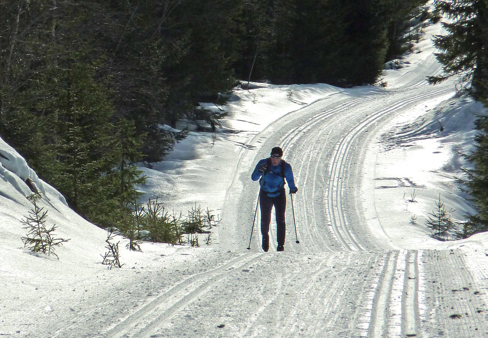 Minneåsløype i motlys
