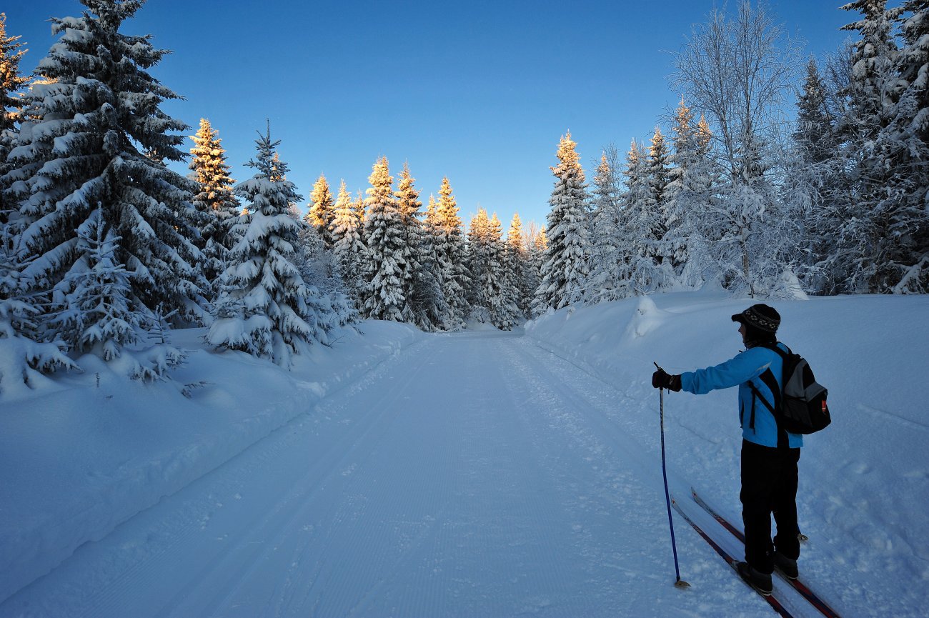 Morgen på Haveråsen