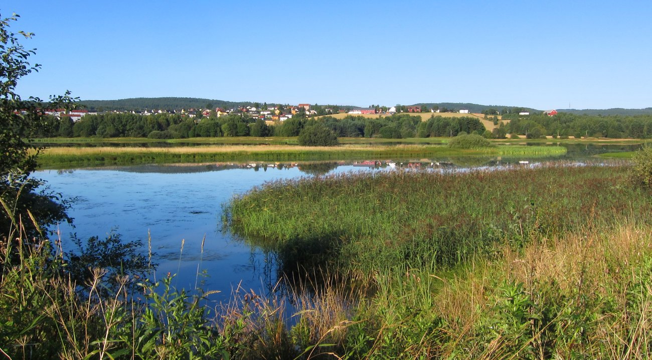 Morgen ved Nebbursvollen
