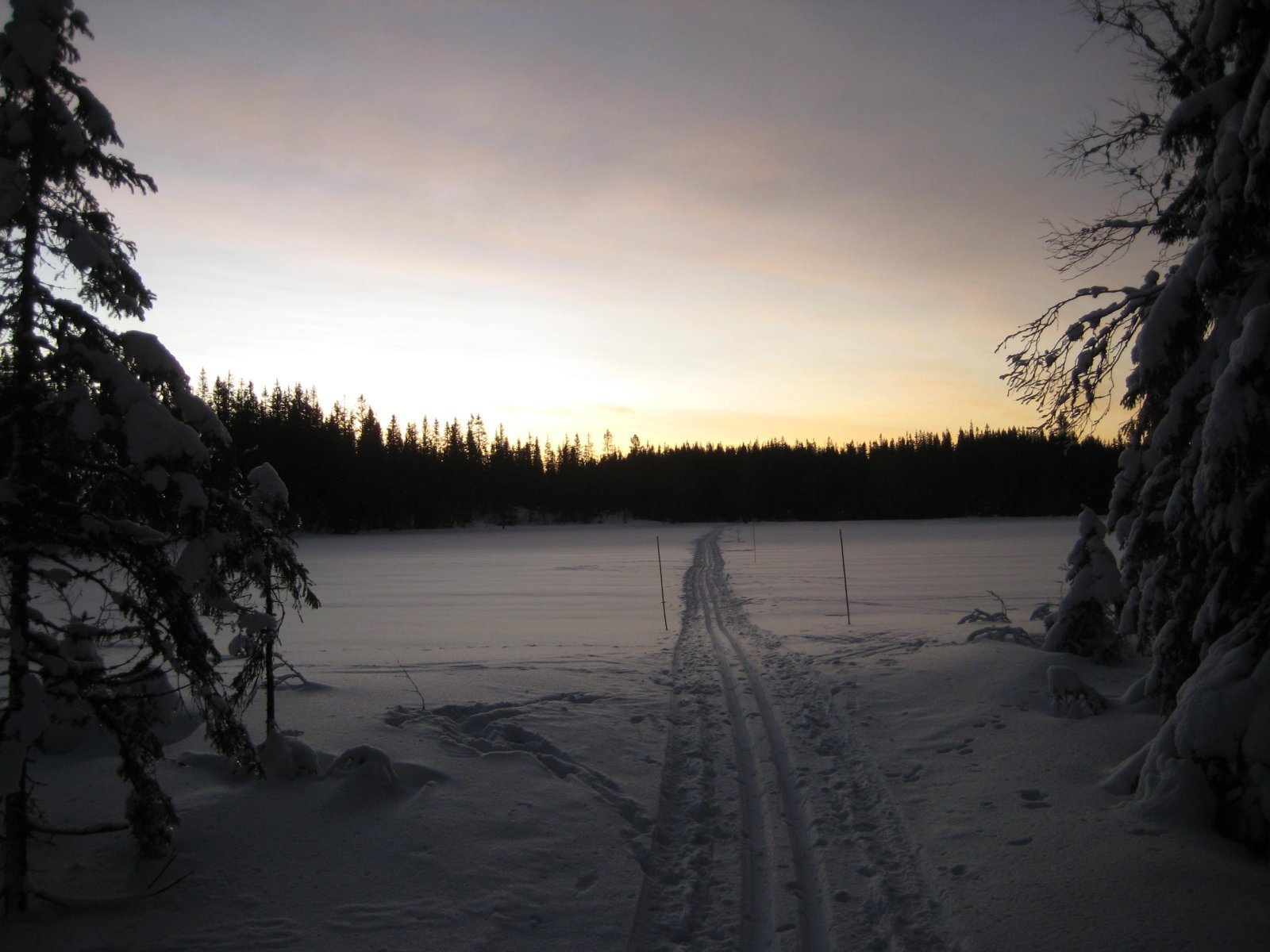Morgen ved Svarttjern