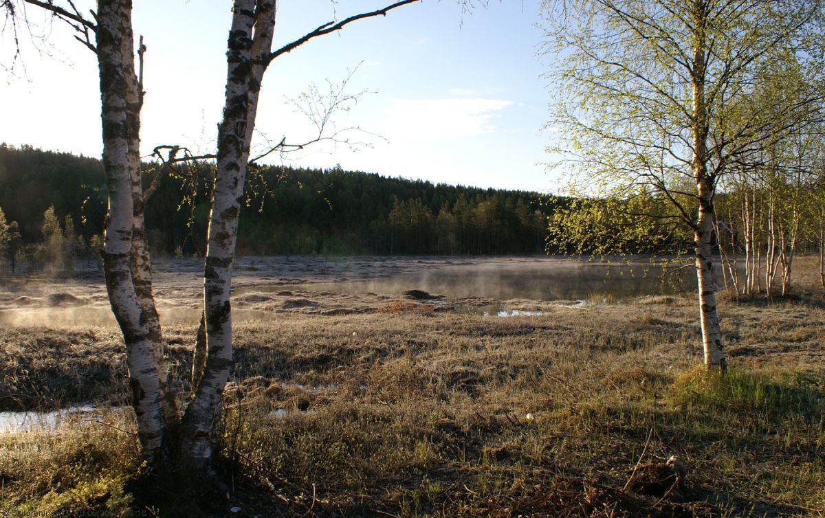 Morgendisen letter på Bysetermosan