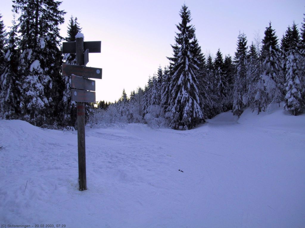 Morgengry ved Maristua