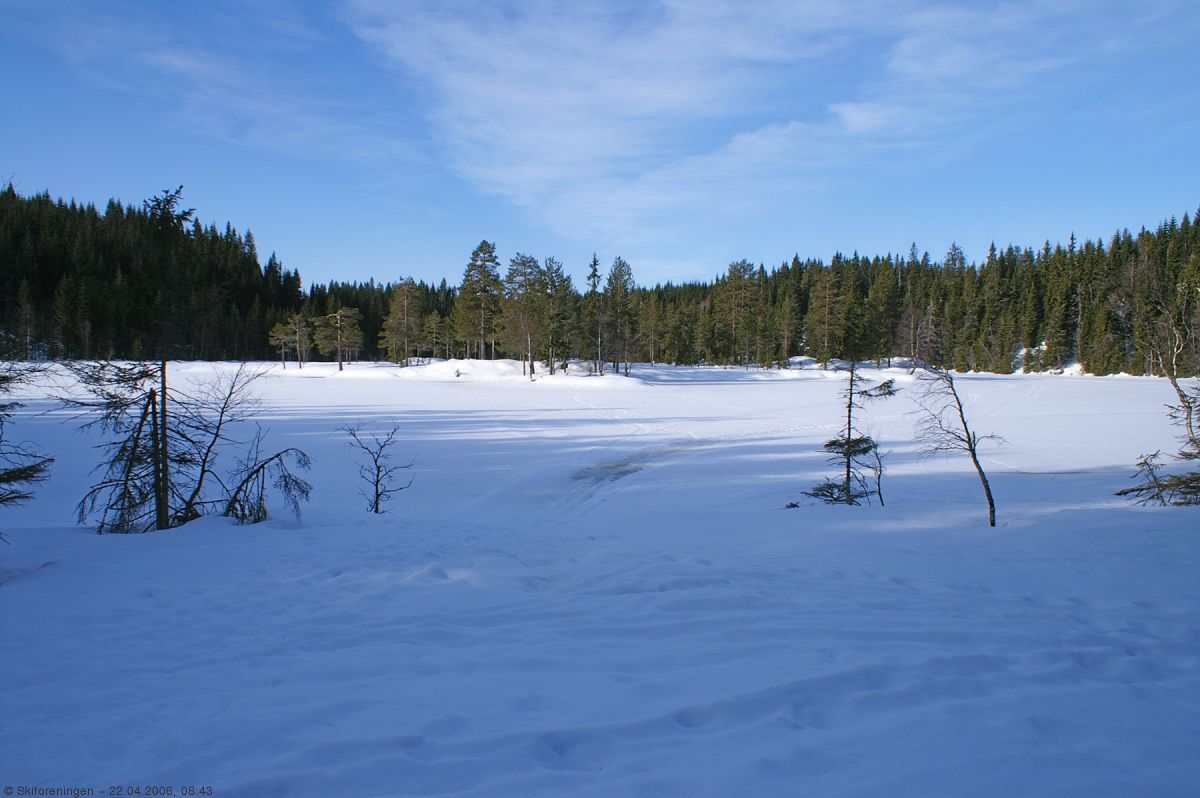 Morgensol over Manntjern
