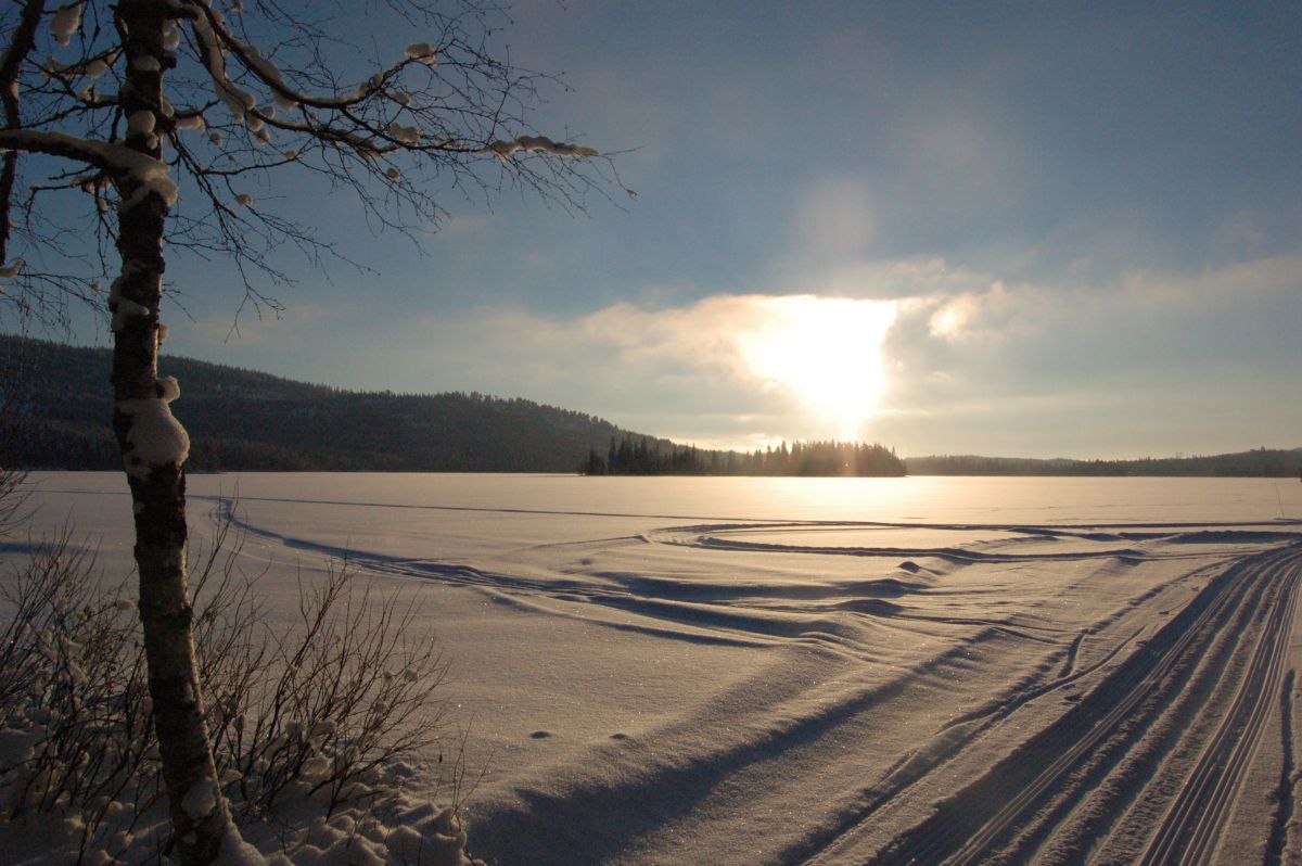 Morgensol ved Gjerdingen