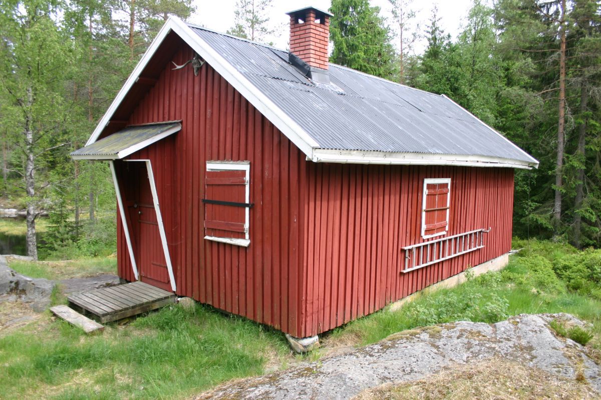 Morterudkoia i sommersol