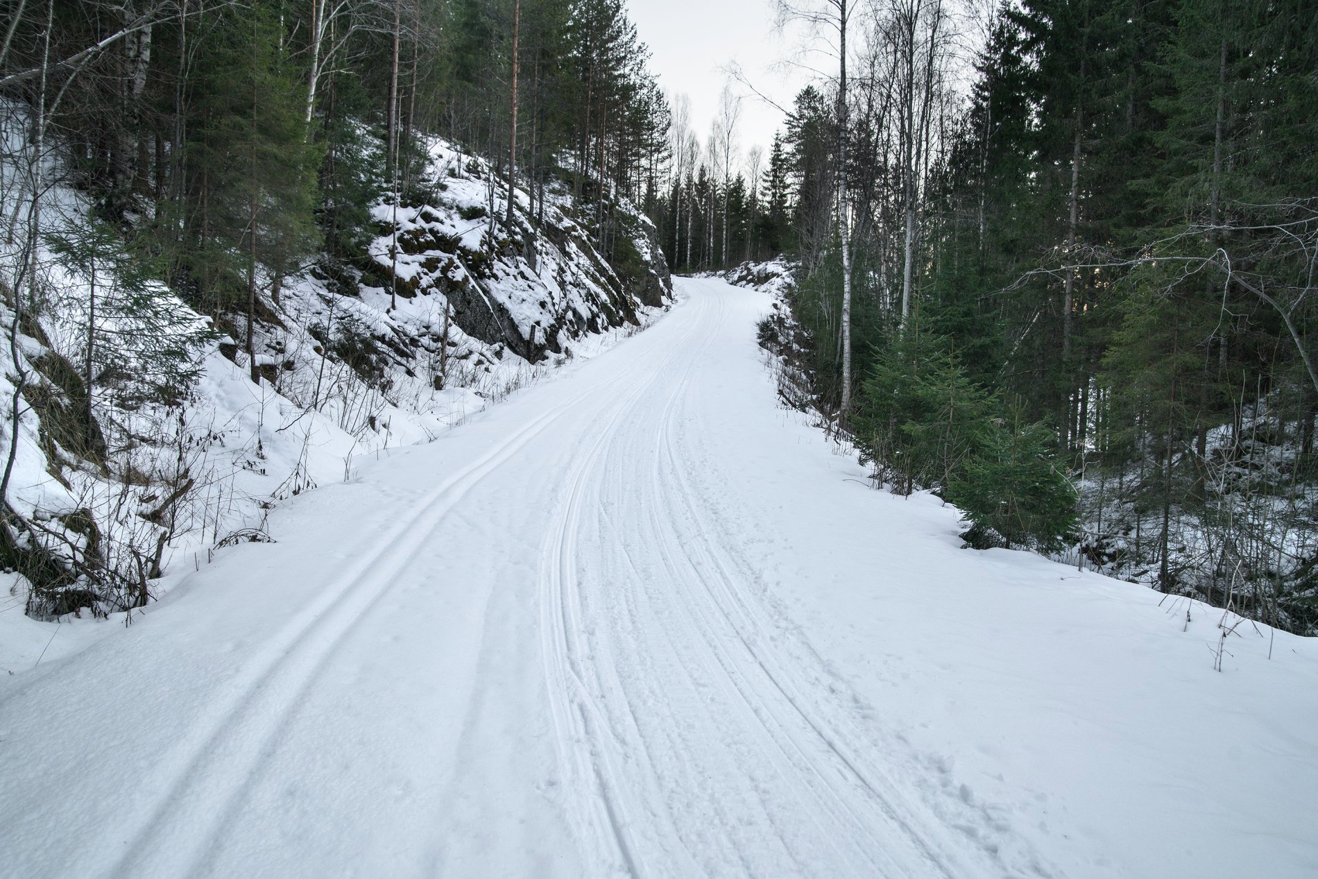 Morterudveien