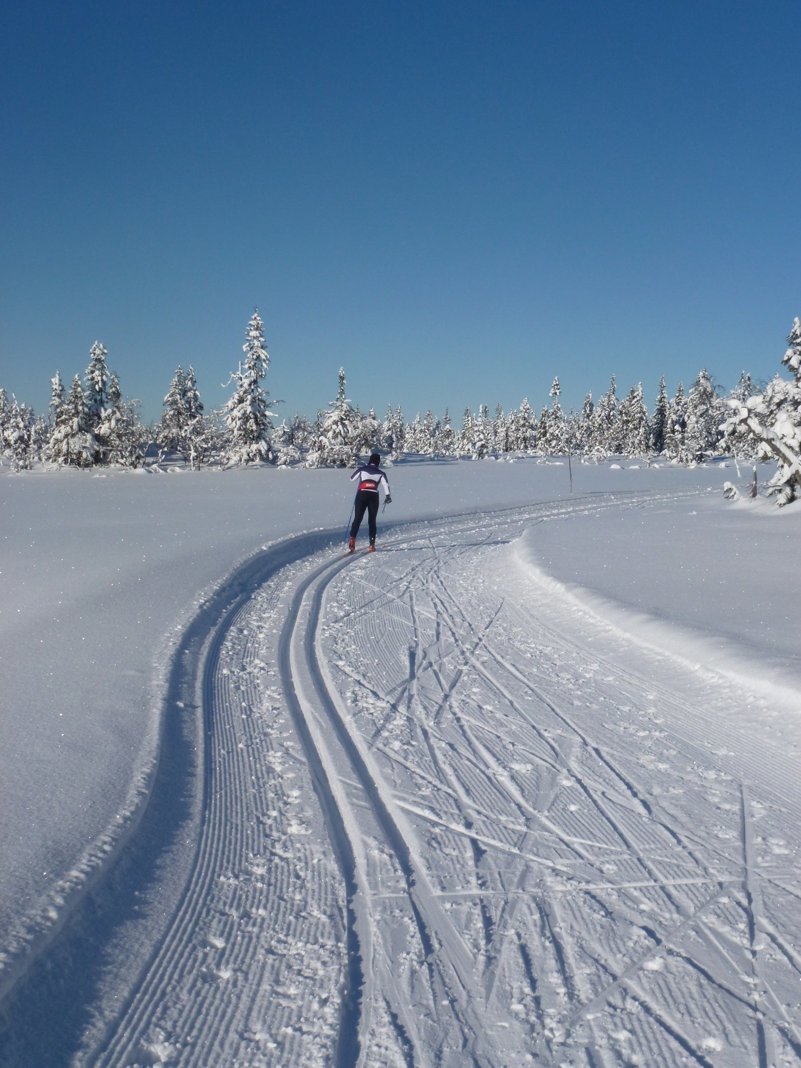 Mot Dalssætra i vinterlig idyll