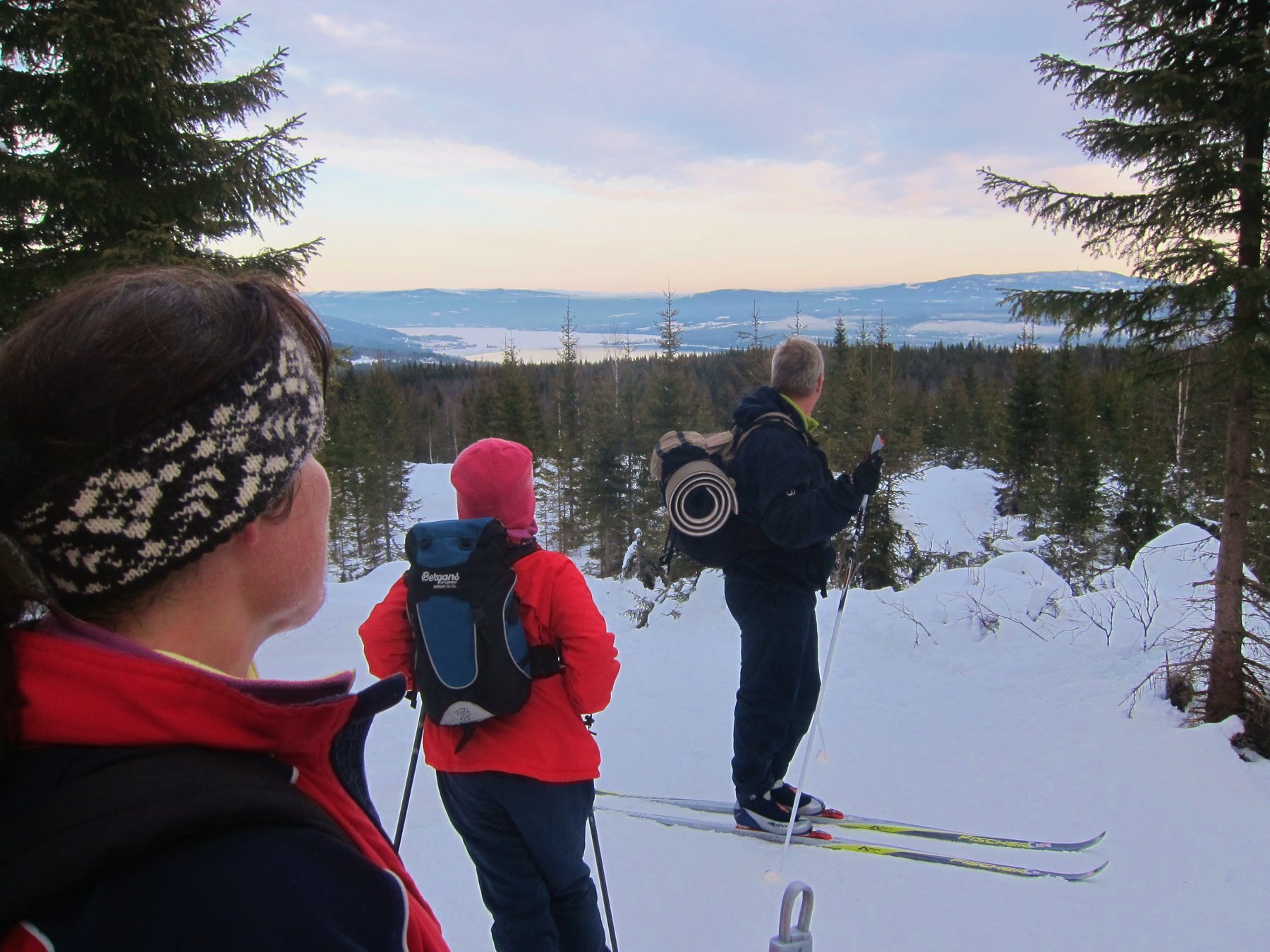 Mot Hurdalssjøen fra Dalsæterlia