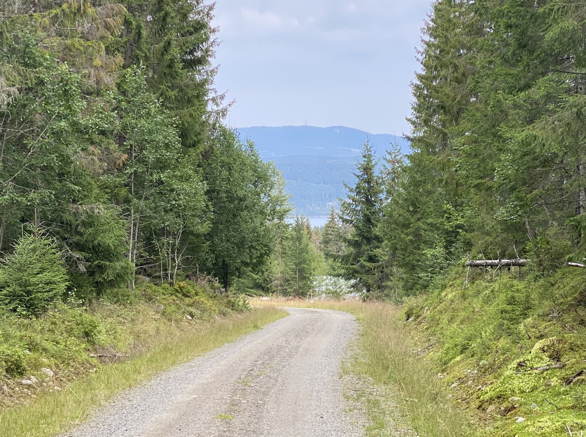 Mot Hurdalssjøen og Mistberget