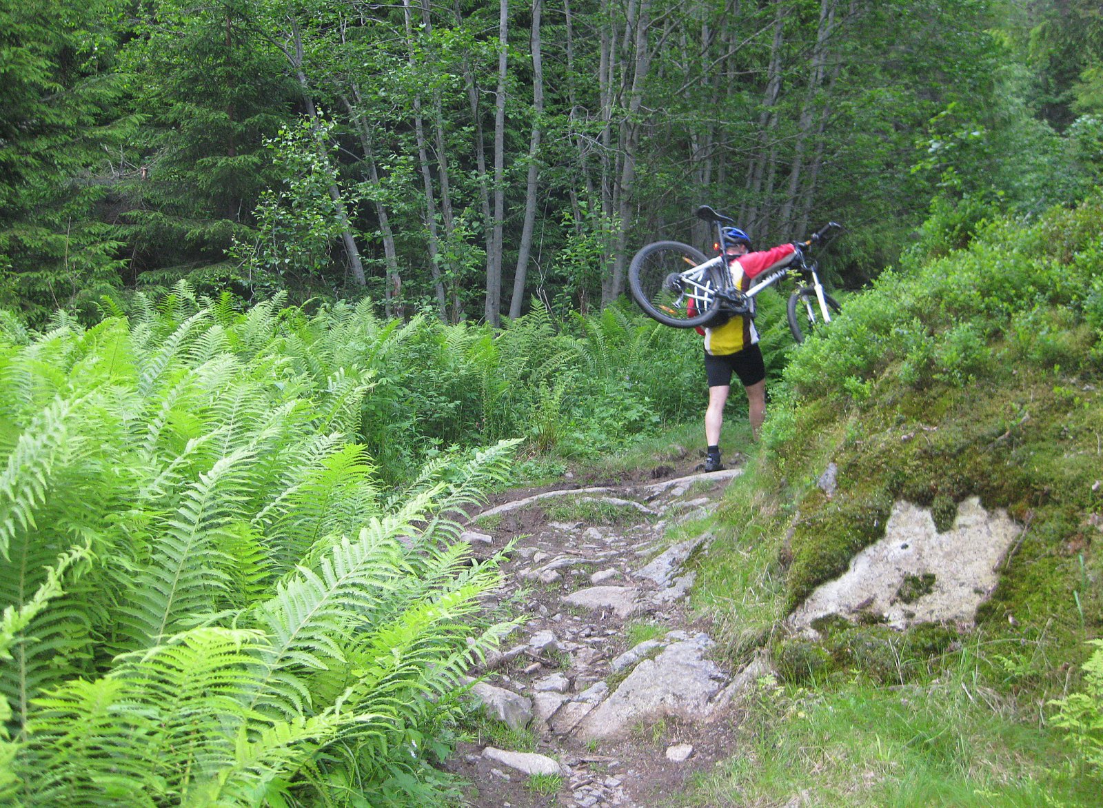 Mot Knappa fra Langlia