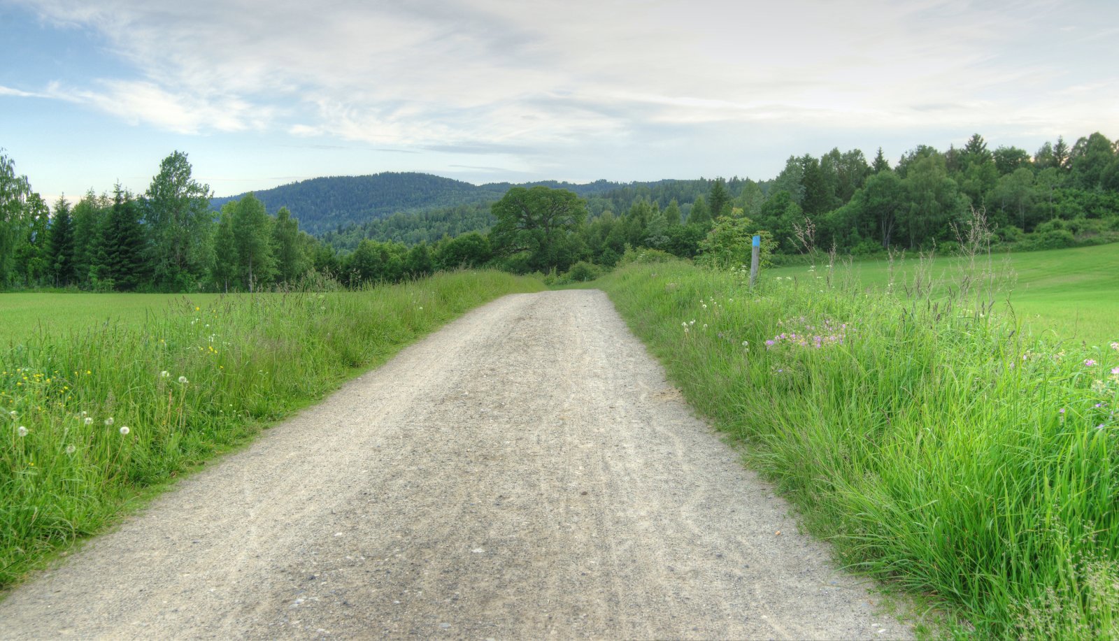 Mot kveld på Ankerveien