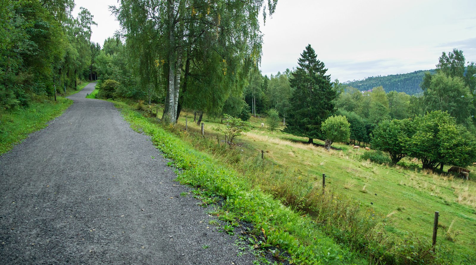 Mot kveld på Rykkinn