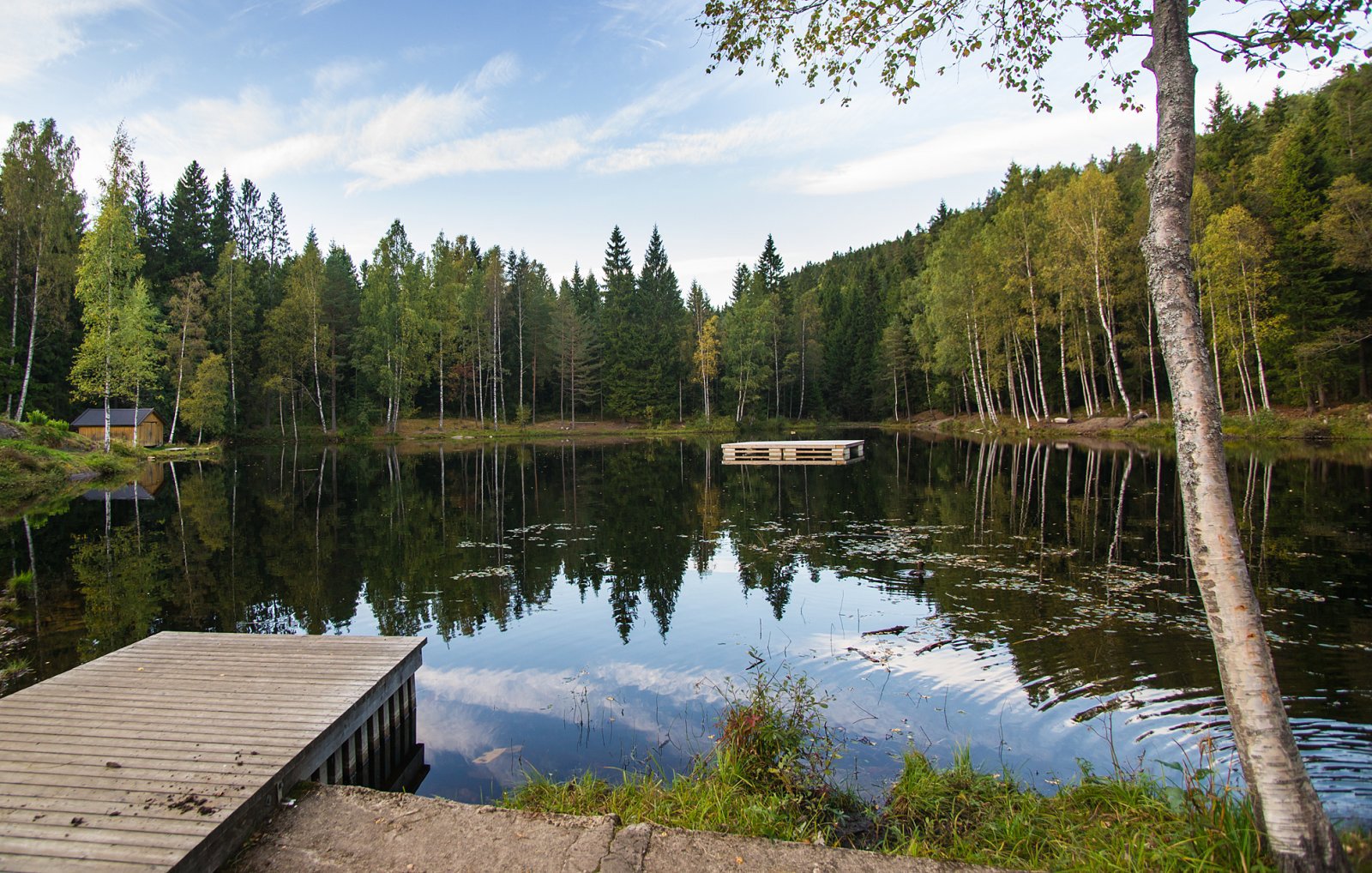 Mot kveld ved Isdammen