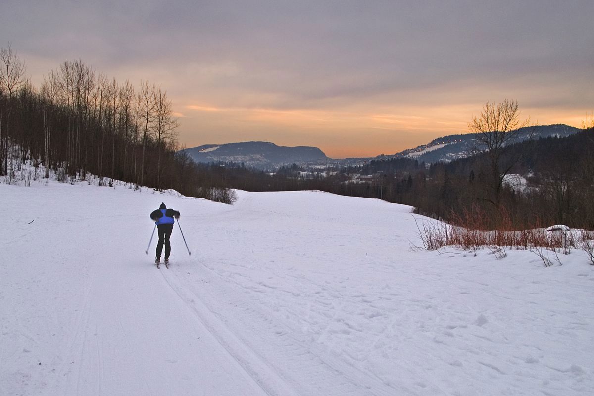 Mot Lommedalen i kveldstimen