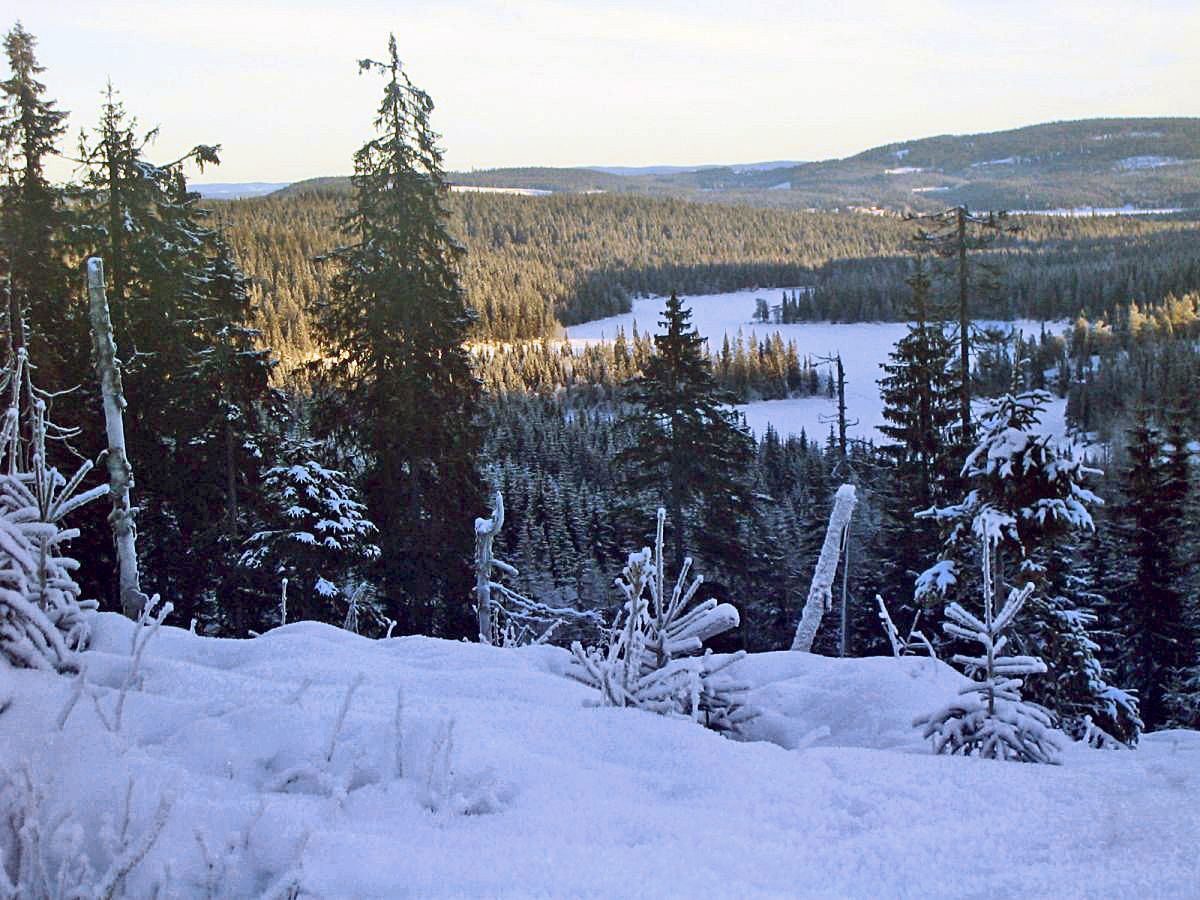 Mot Spålen og Katnosa