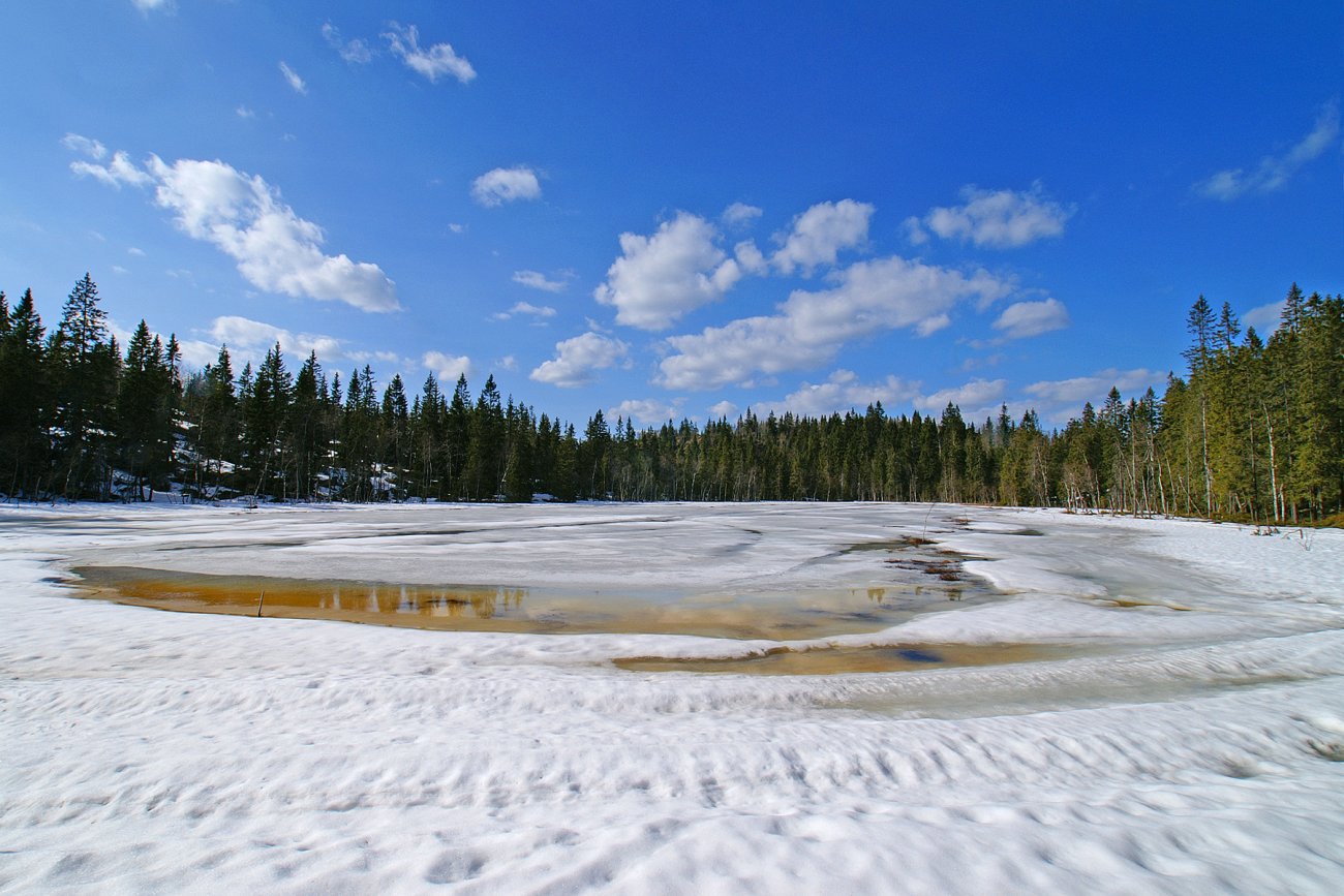 Mot vår ved Blekketjern