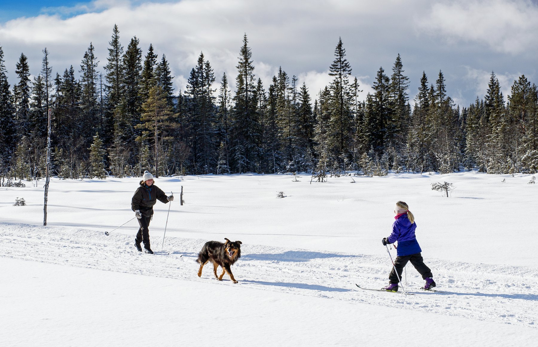Møte på Ringsmyrene