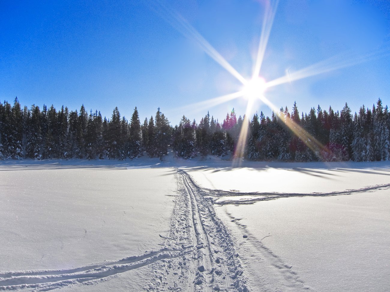 Motlys på Kusteintjern