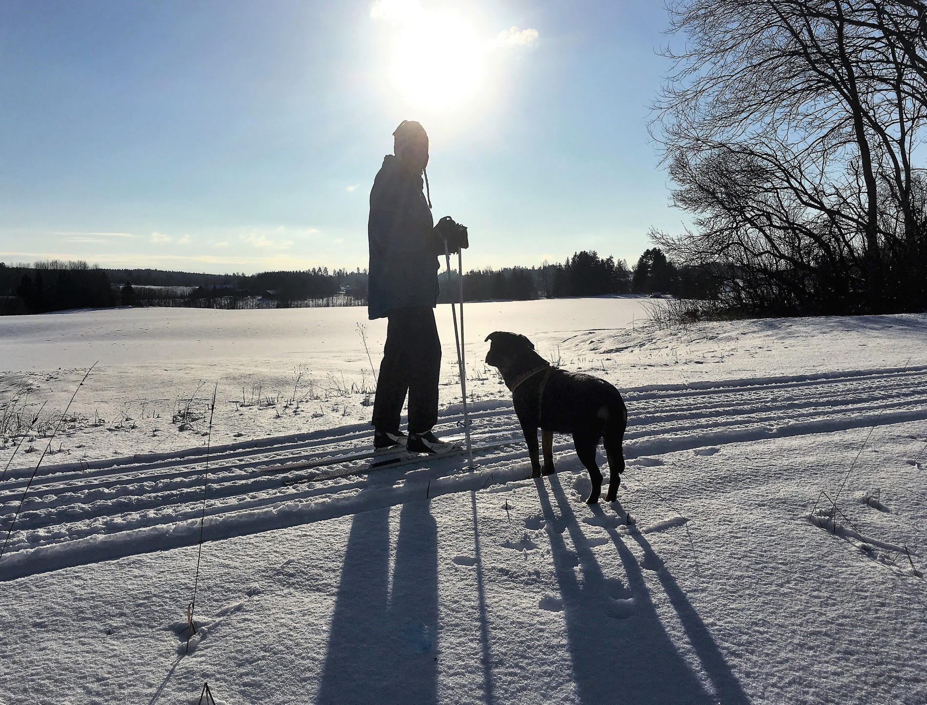 Motlysutsikt mot Garder