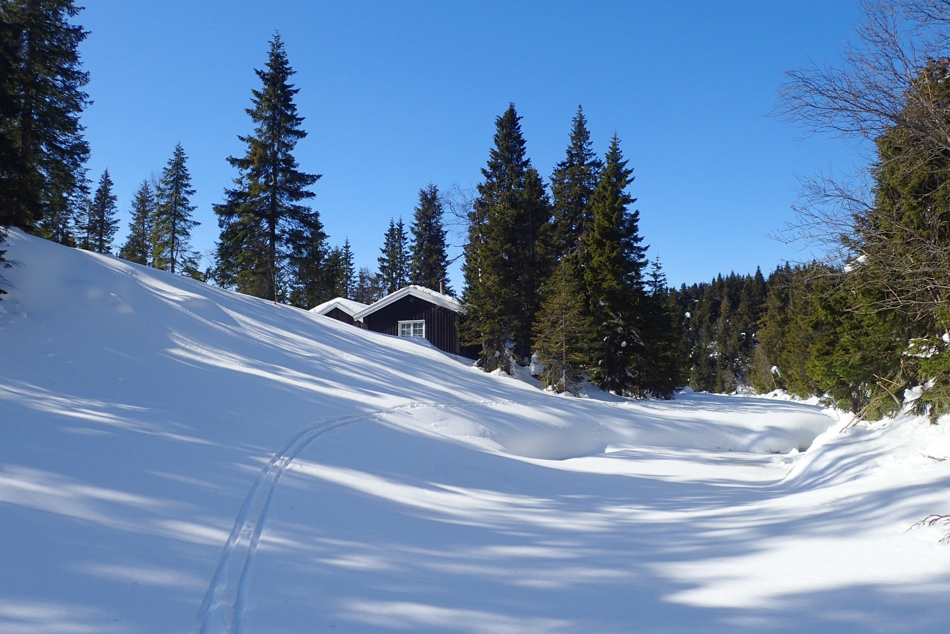 Mulig å gå overalt under Oppkuven