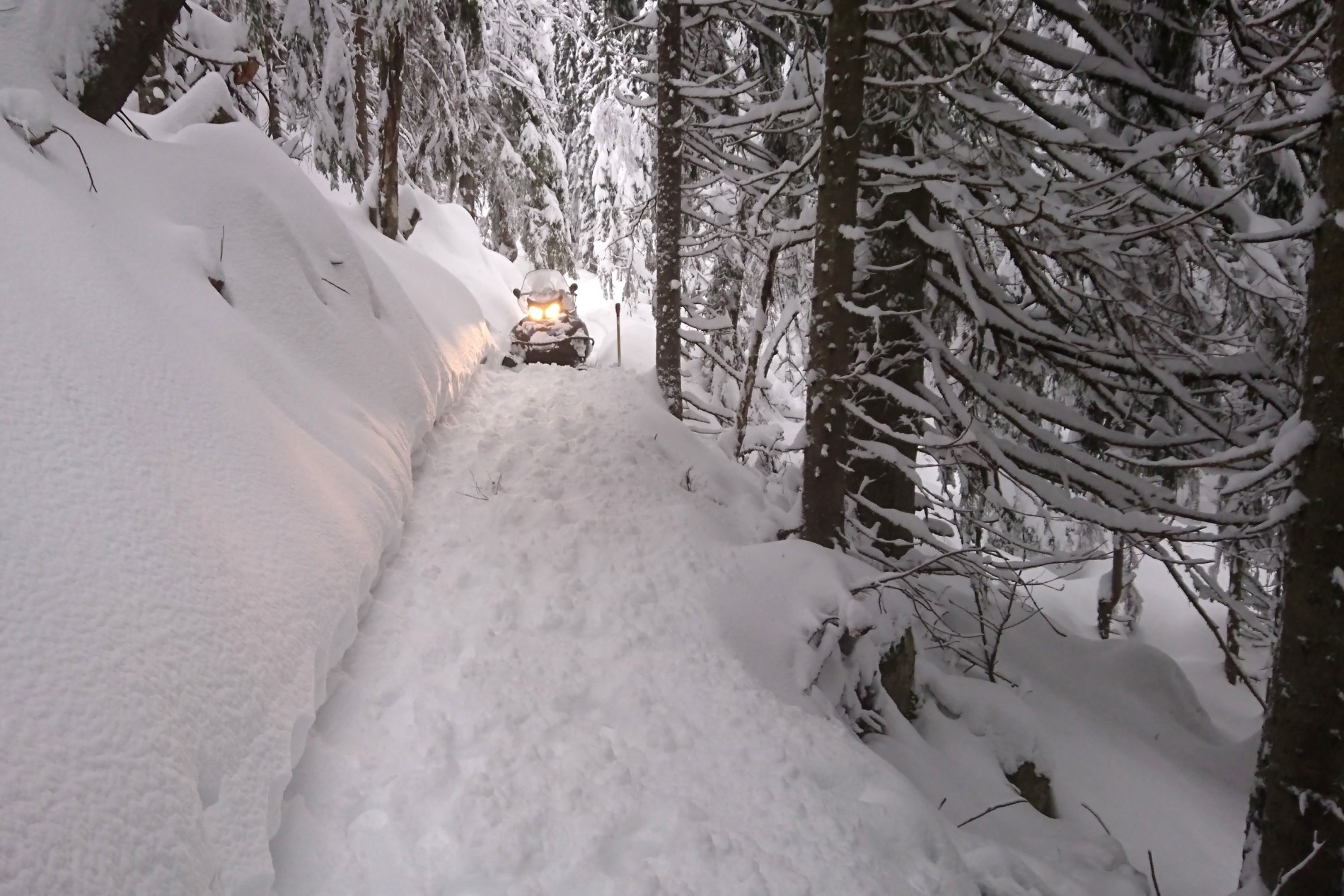 Mye snø blir til fine scooterløyper