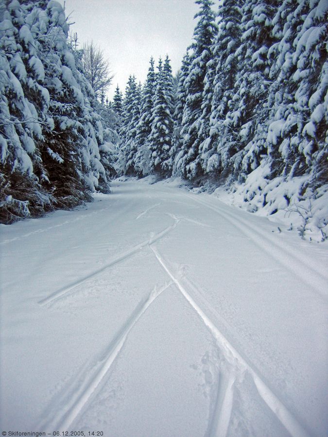 Mye snø i nærheten av Øyvann
