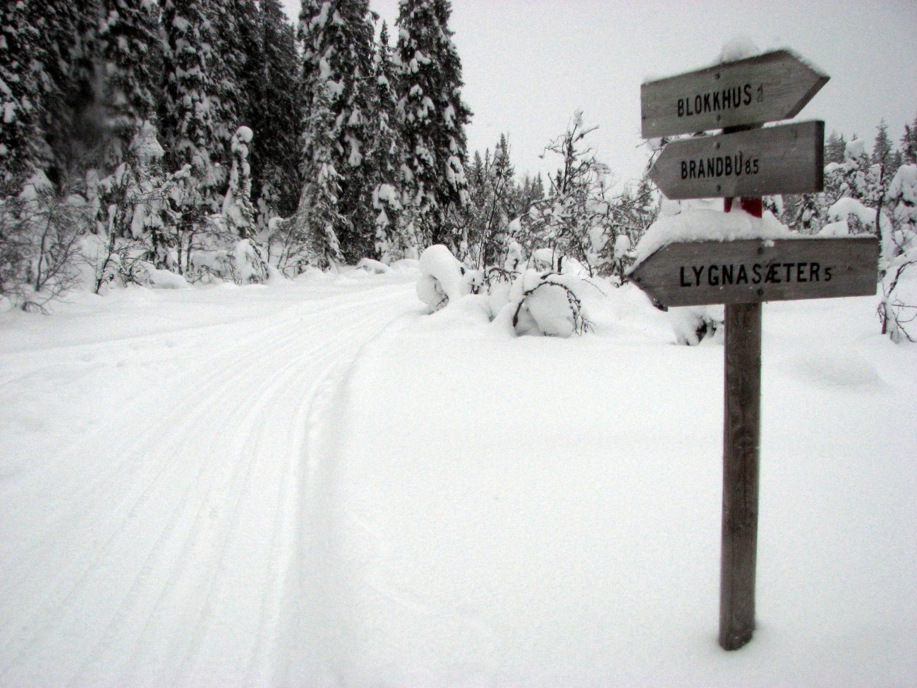 Mye snø i skogsløypene