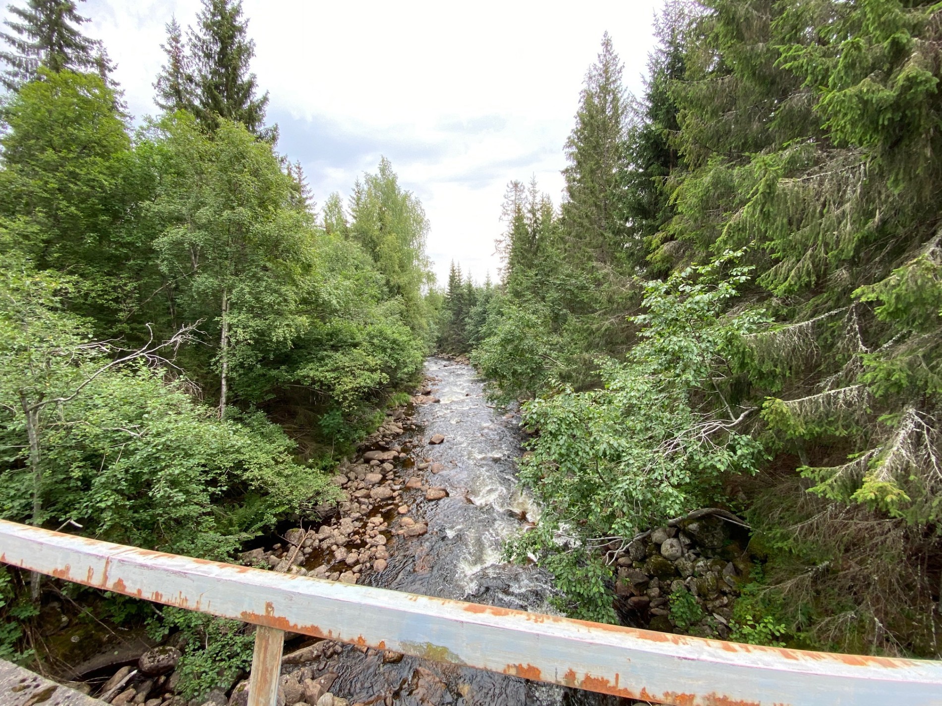 Mye vannføring på grensen