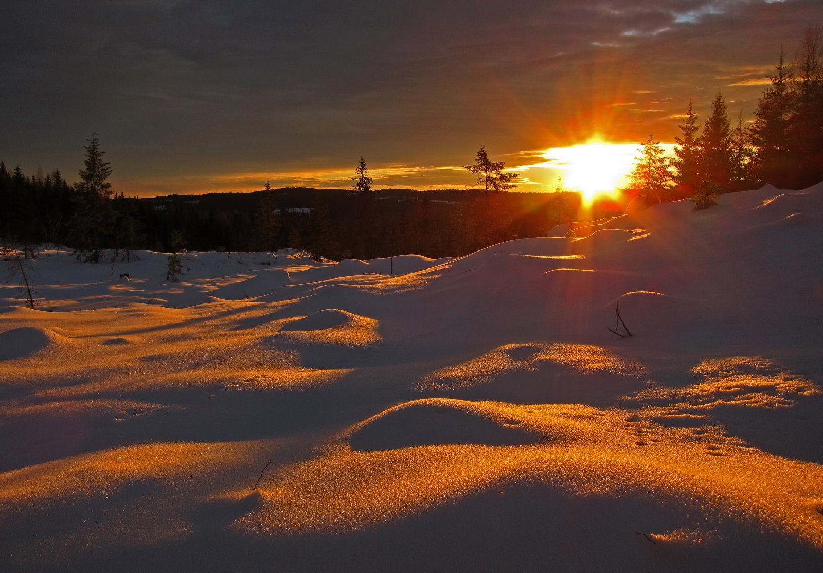 Myke motlysformer på Ingjerdsbrenna