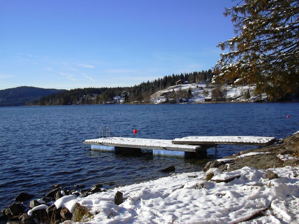 Mylla - snart i vinterdrakt